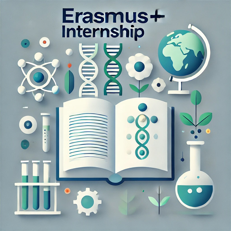 erasmus_internship.jpg