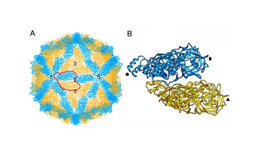 Program BioLAB 2027-28