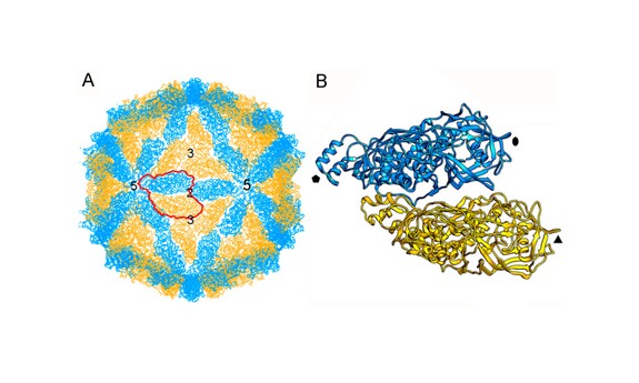 Program BioLAB 2027-28